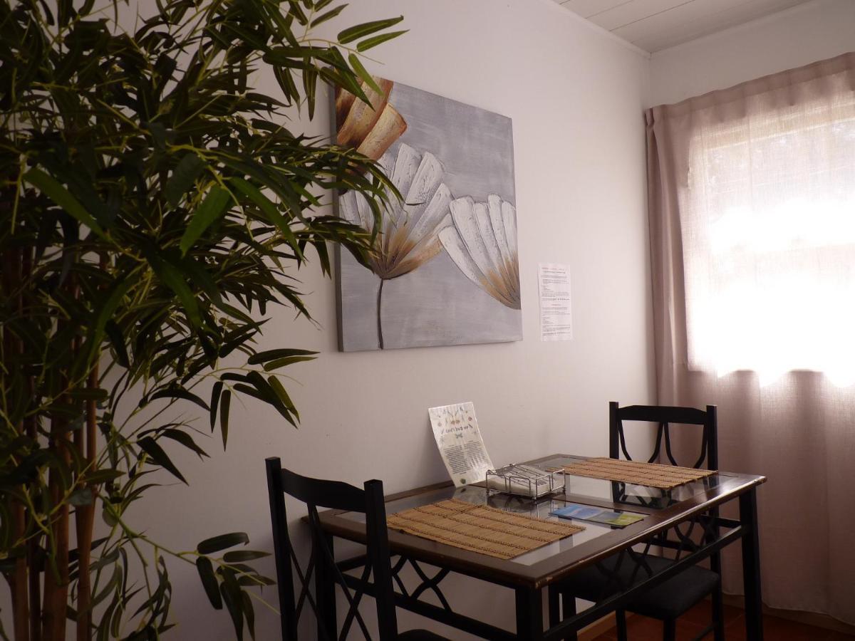 Azores Garden House - Private Suites & Apartments - Automatic Self Check-In Ponta Delgada المظهر الخارجي الصورة