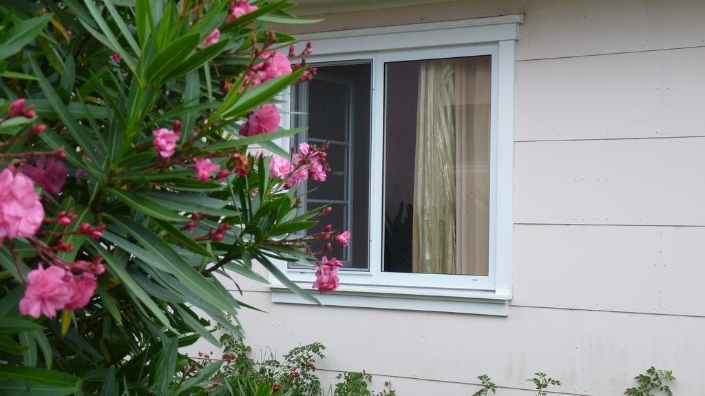 Azores Garden House - Private Suites & Apartments - Automatic Self Check-In Ponta Delgada المظهر الخارجي الصورة
