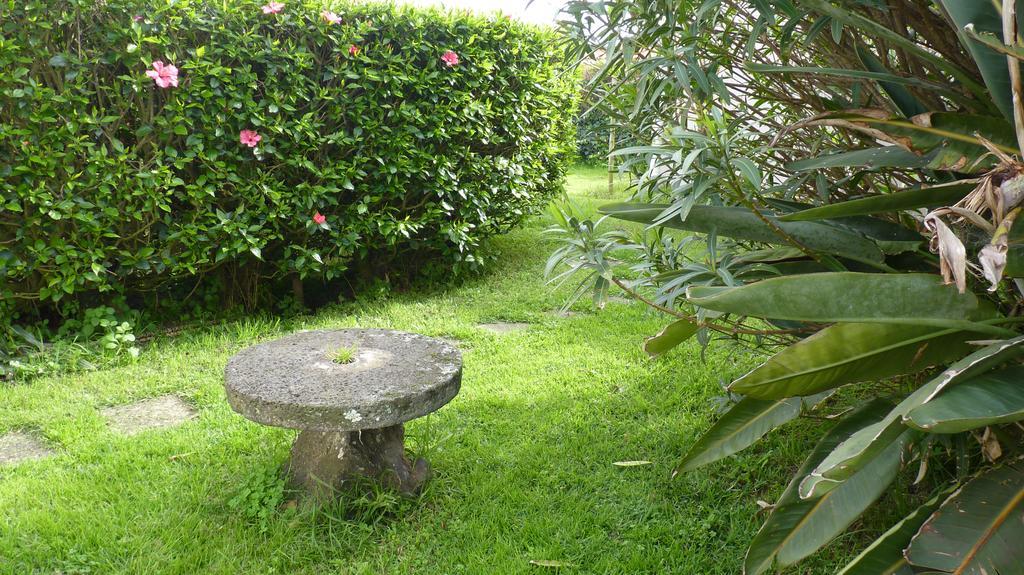 Azores Garden House - Private Suites & Apartments - Automatic Self Check-In Ponta Delgada المظهر الخارجي الصورة