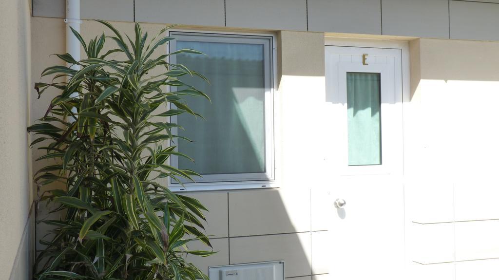 Azores Garden House - Private Suites & Apartments - Automatic Self Check-In Ponta Delgada المظهر الخارجي الصورة