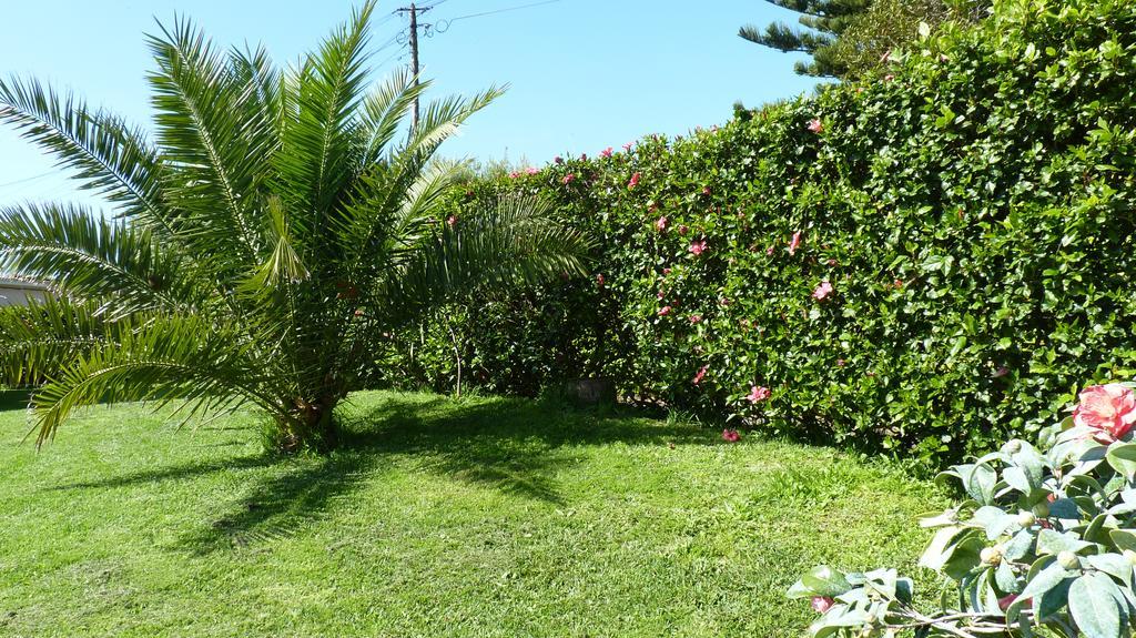 Azores Garden House - Private Suites & Apartments - Automatic Self Check-In Ponta Delgada المظهر الخارجي الصورة